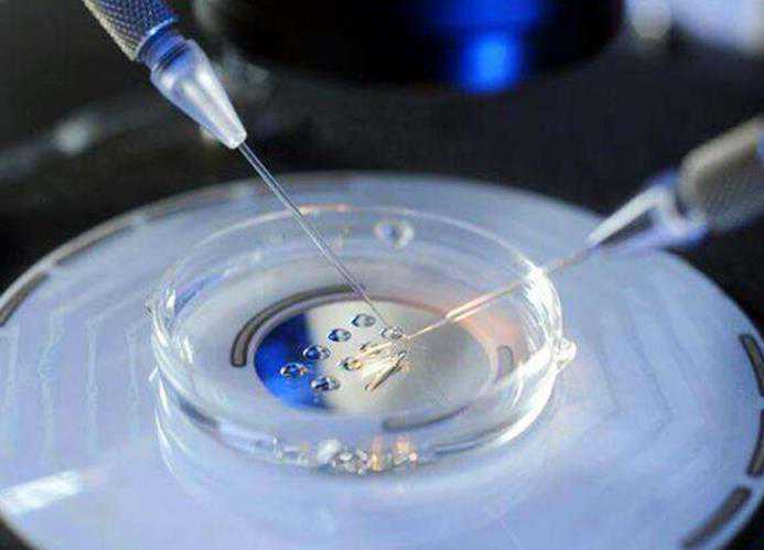 国内外试管双胞胎费用介绍